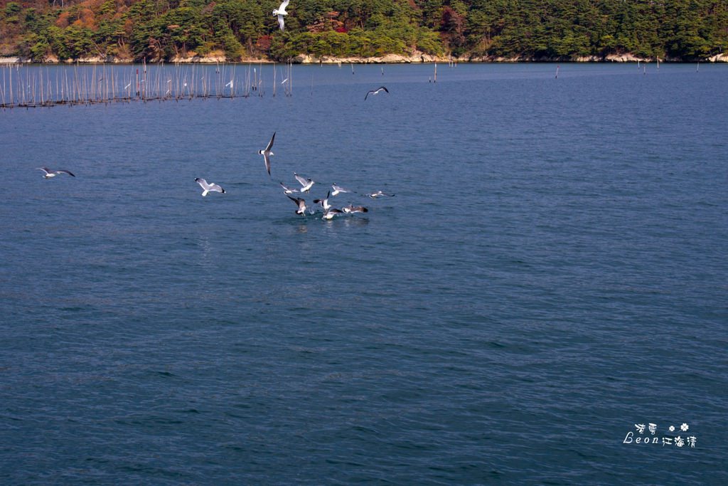 dsc_0415_1-45