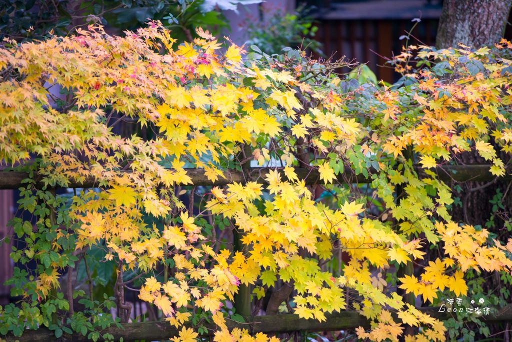 dsc_0415_1-94