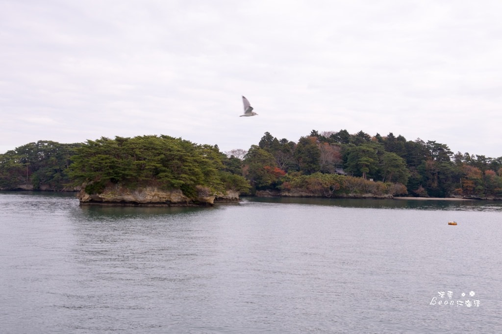 dsc_0415_1-13
