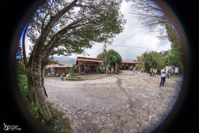 DSC_7516.jpg