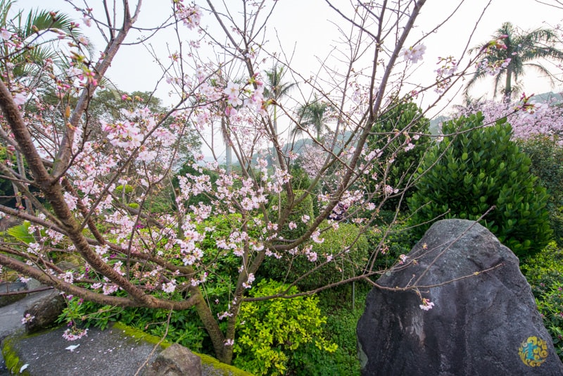 DSC_2383.jpg