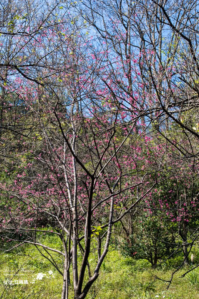 dsc_0415_1-27-2