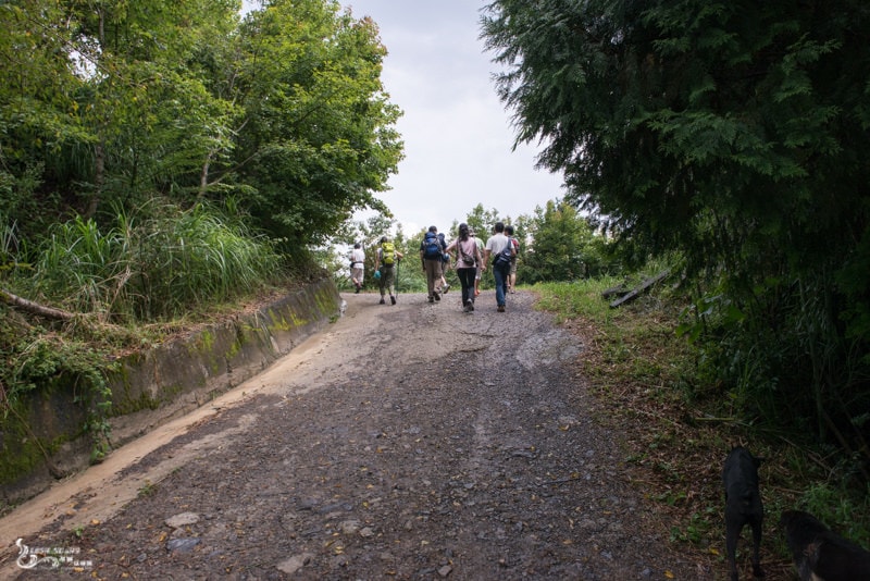 DSC_7537.jpg