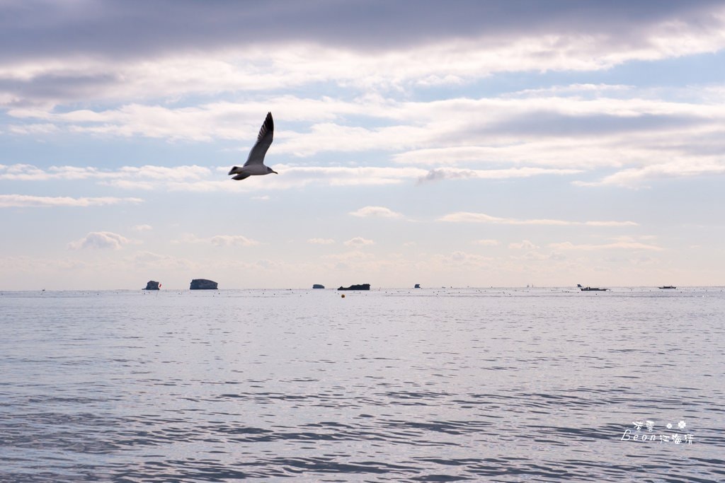 dsc_0415_1-56