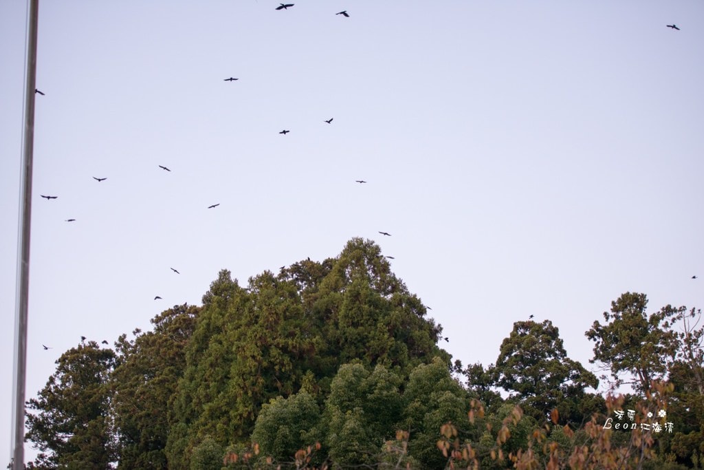 dsc_0415_1-65