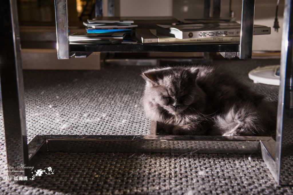 DSC_8351.jpg