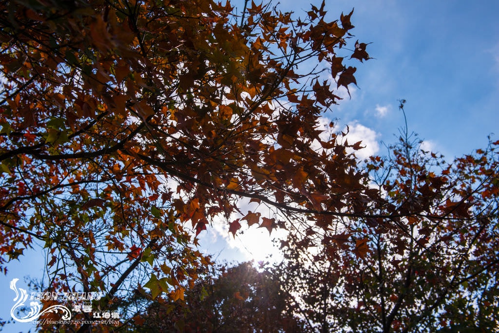 DSC_2012.jpg