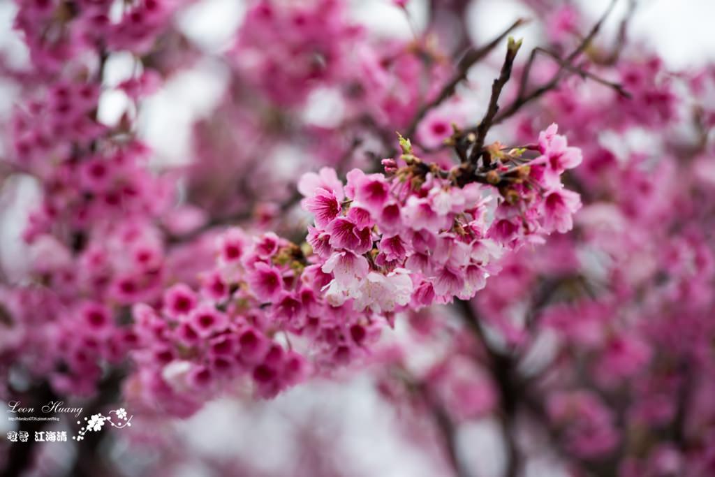 dsc_0415_1-27