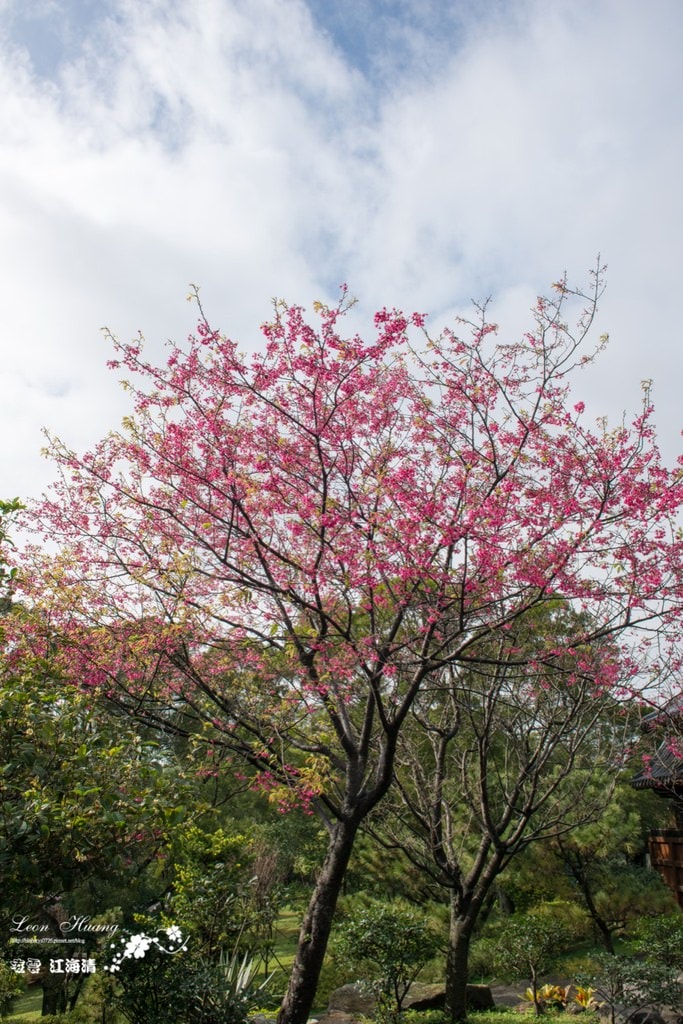 dsc_0415_1-10
