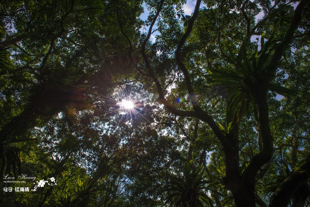 dsc_0415_1-2
