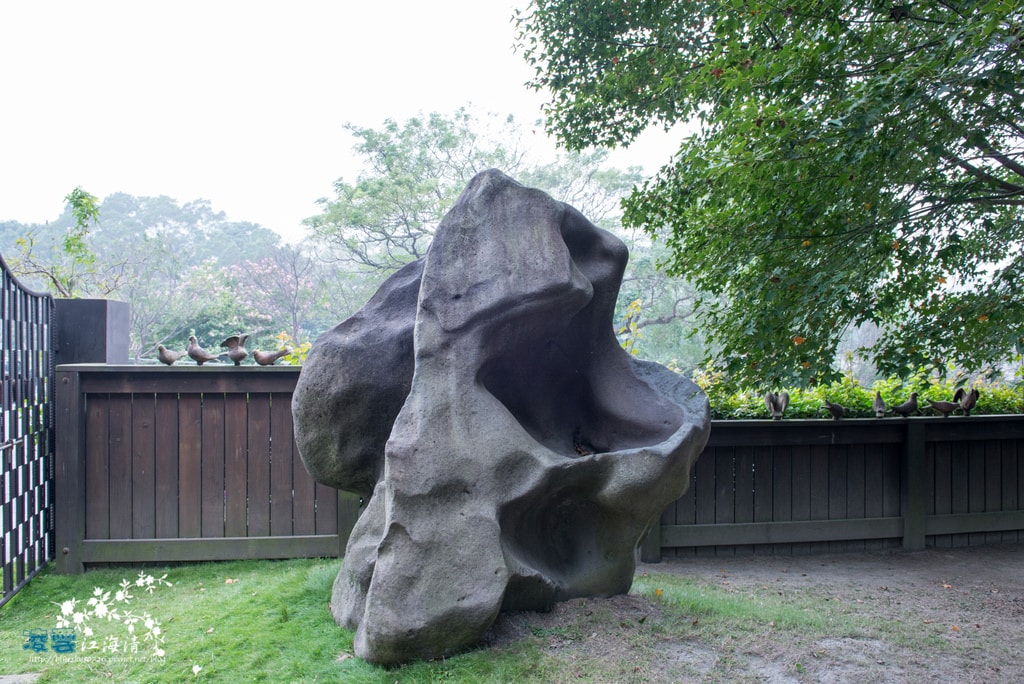 DSC_1544.jpg