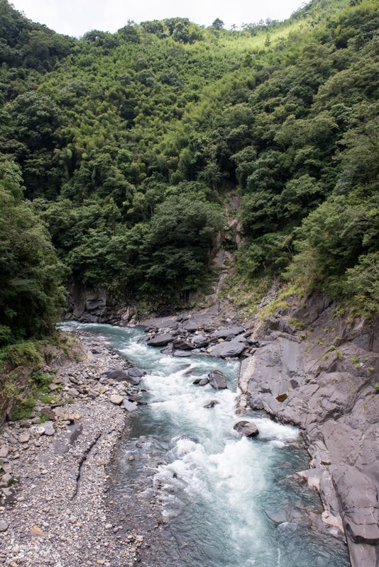 DSC_7477.jpg