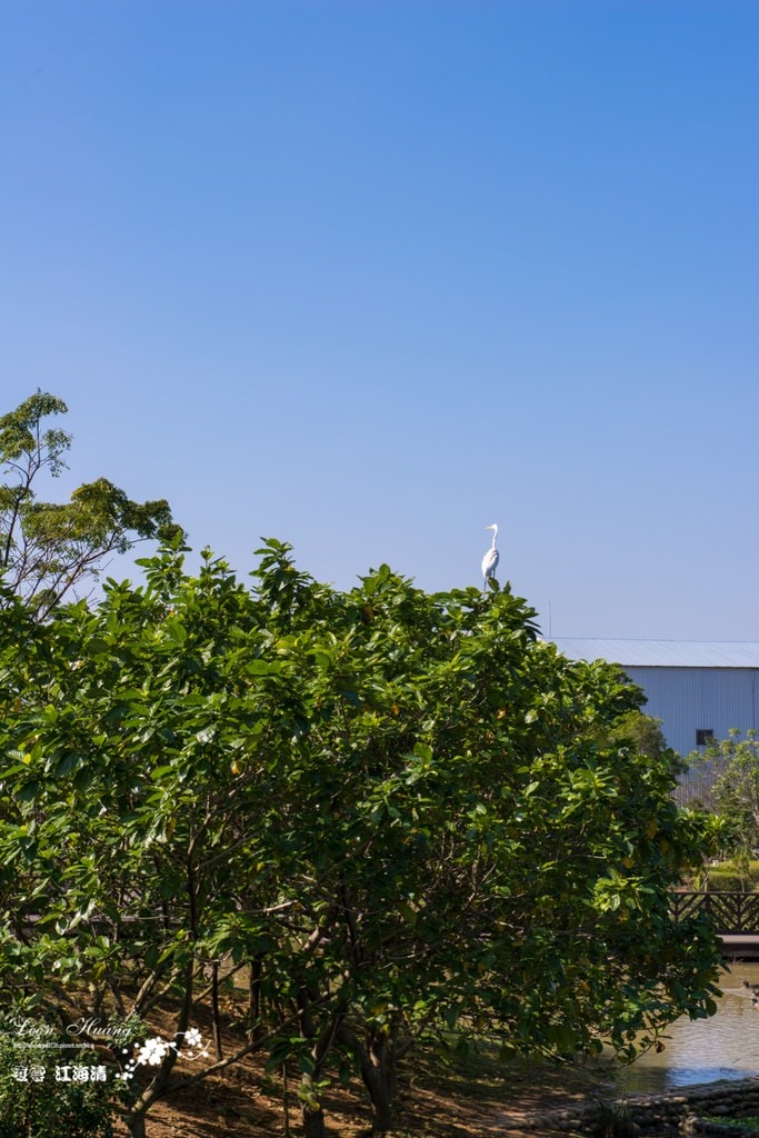 dsc_0415_1-48