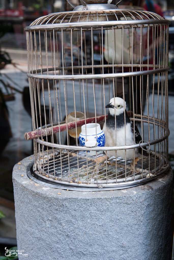 DSC_3825.jpg