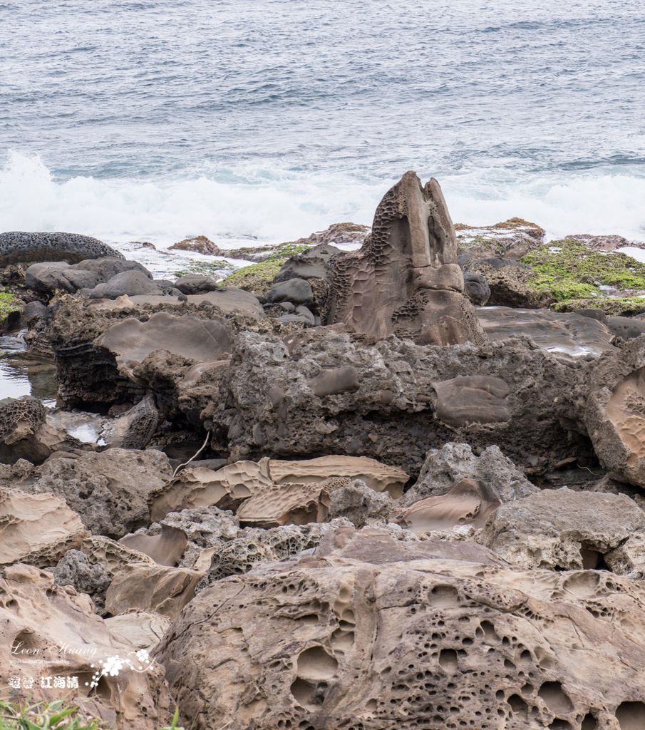dsc_0415_1-5