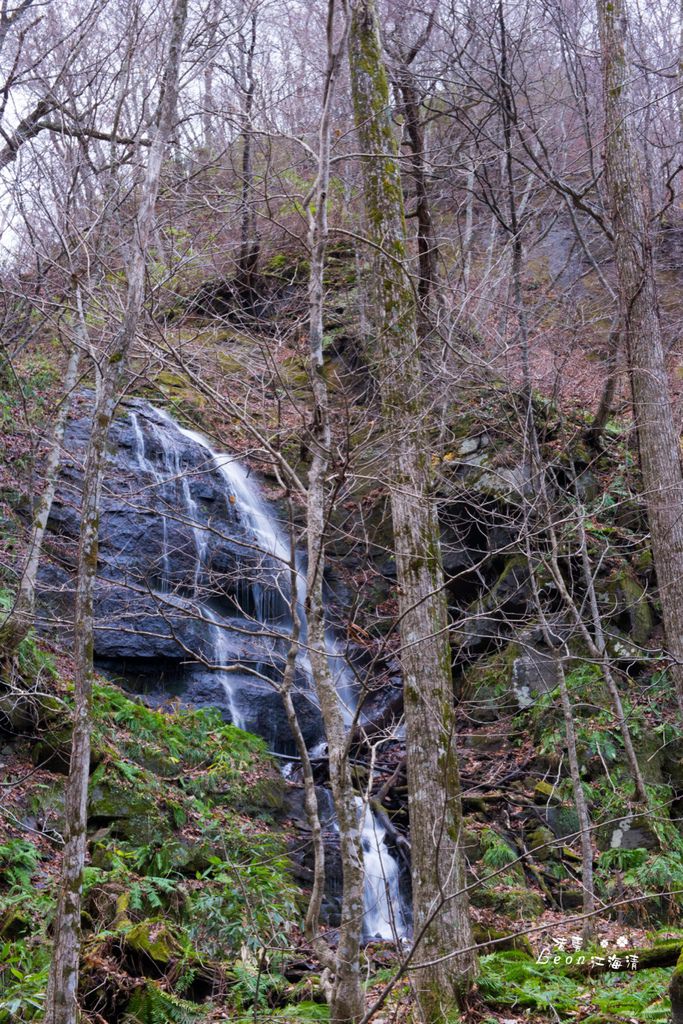 dsc_0415_1-12