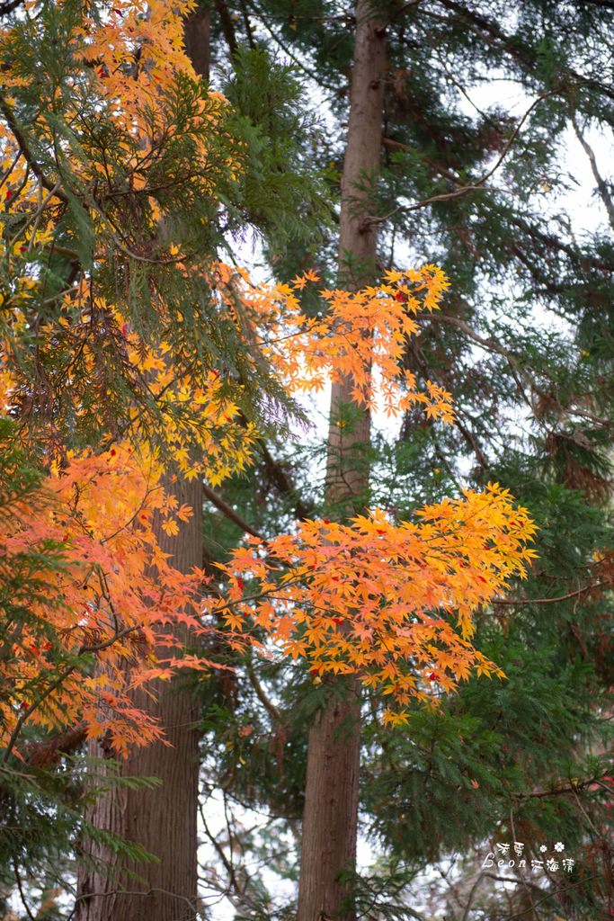dsc_0415_1-66