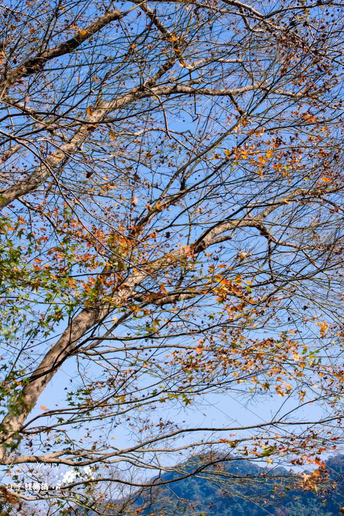 dsc_0415_1-26-2