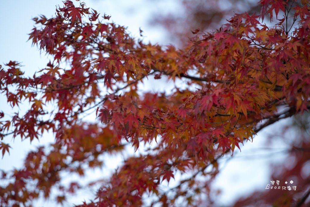 dsc_0415_1-61