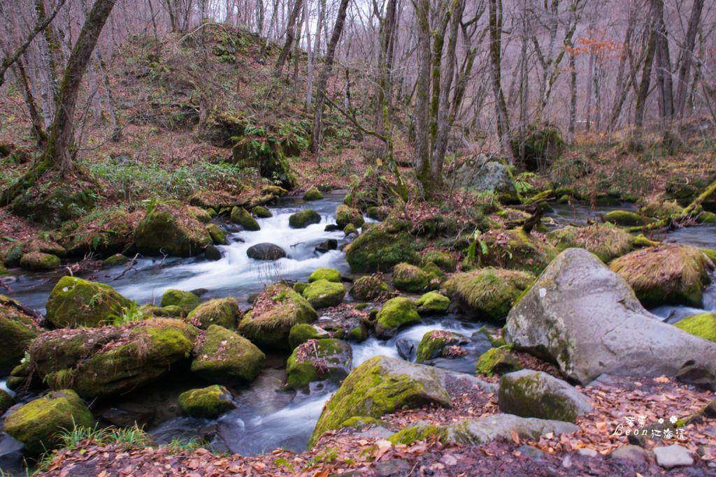 dsc_0415_1-25