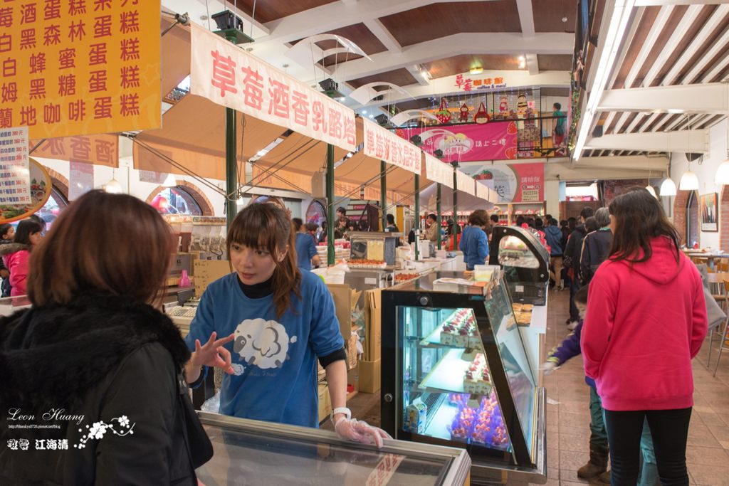 dsc_0415_1-17