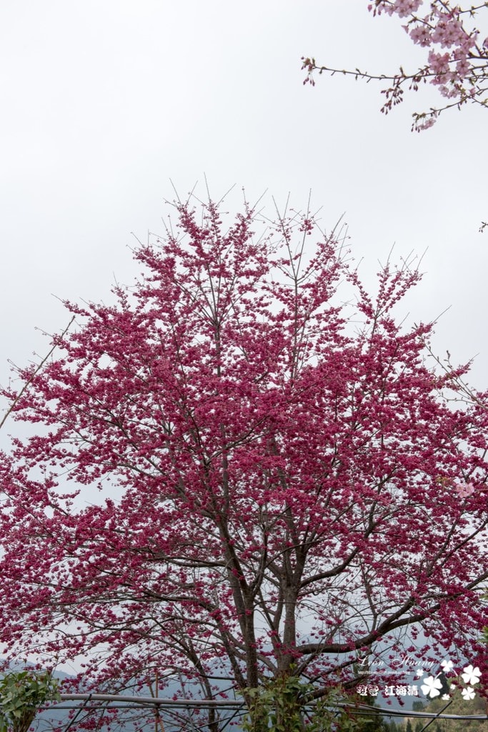 dsc_0415_1-28