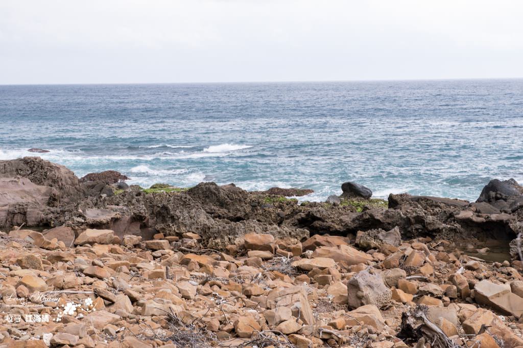 dsc_0415_1-3