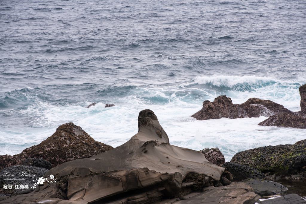 dsc_0415_1-16