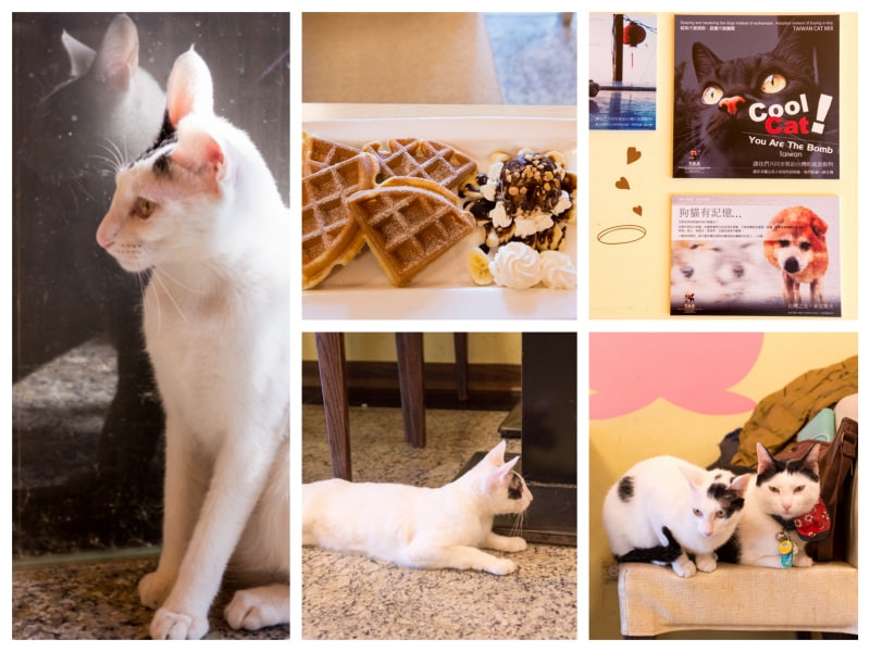 DSC_1534_Fotor_Collage.jpg