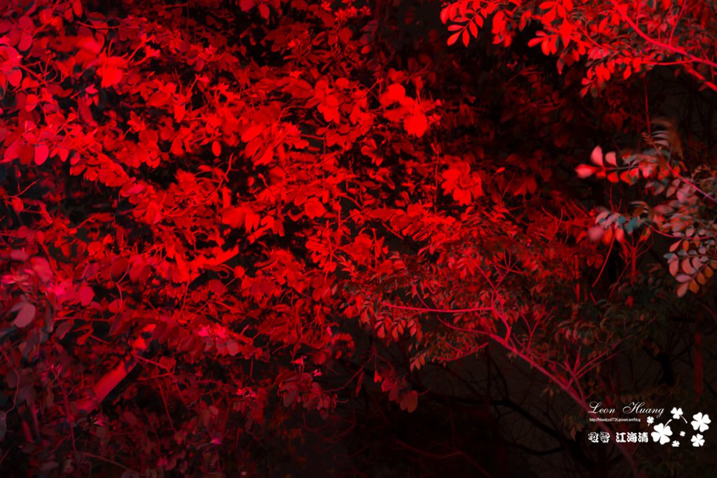 dsc_0415_1-28