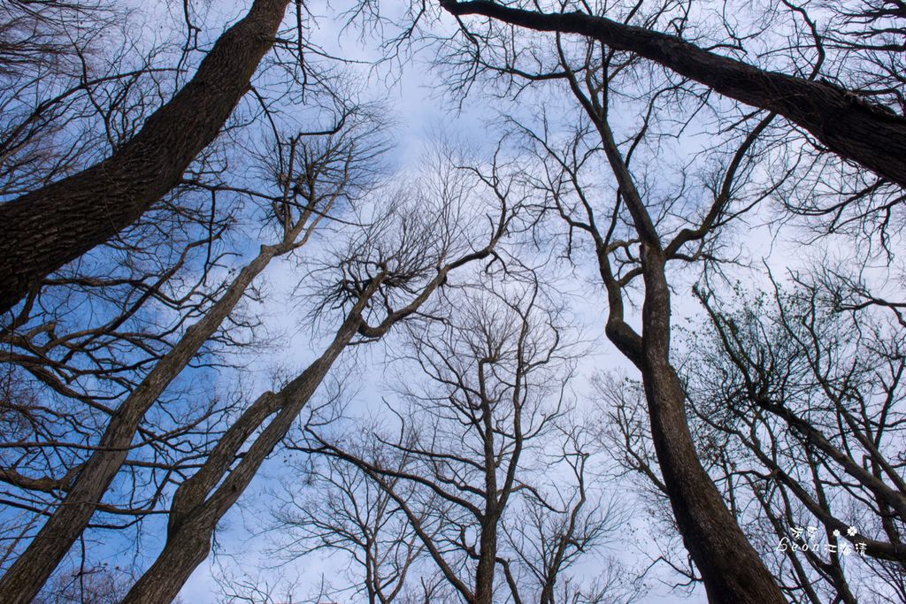 dsc_0415_1-16