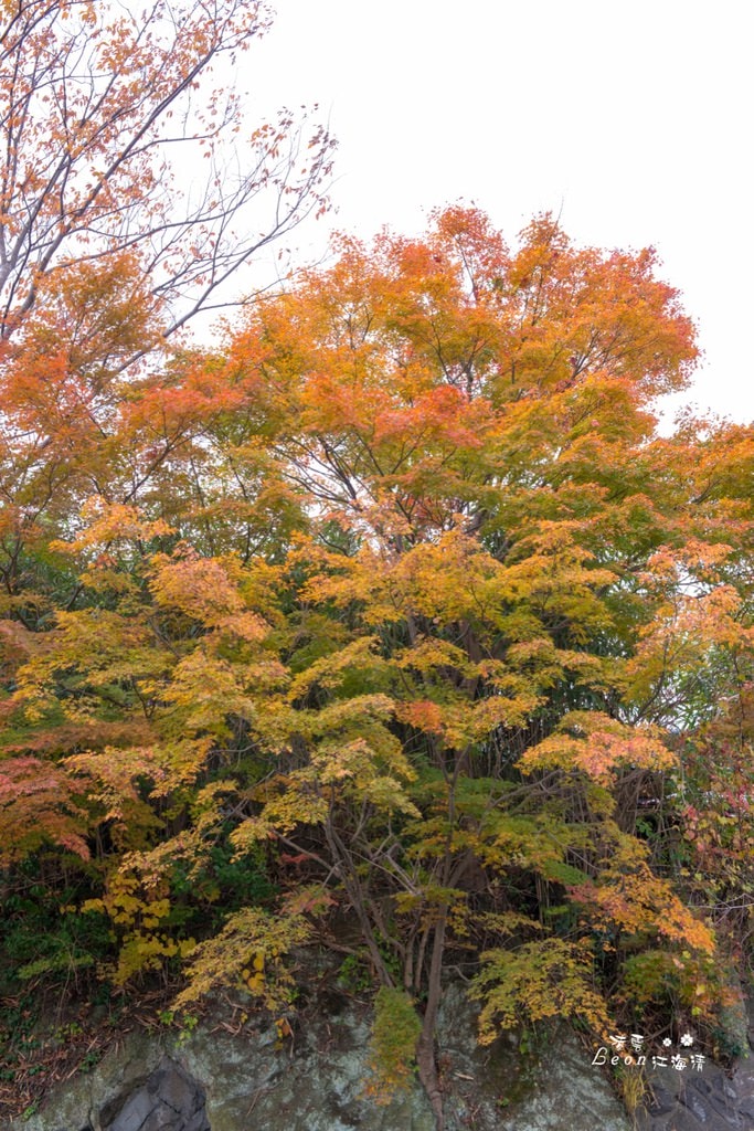 dsc_0415_1-59