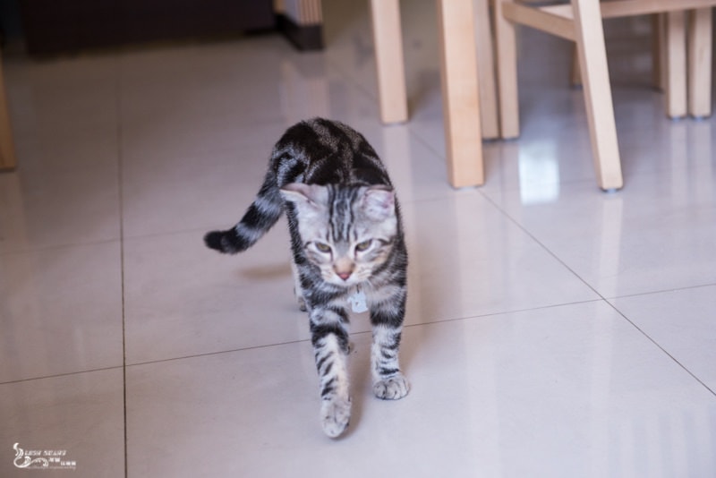 DSC_9149.jpg