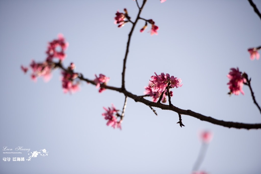 dsc_0415_1-3-2