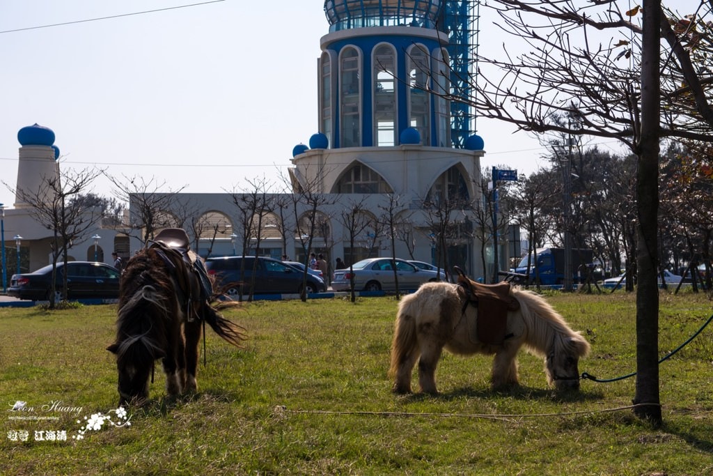dsc_0415_1-11