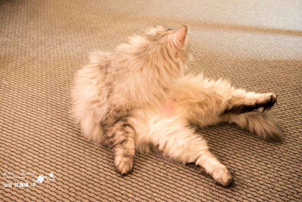 DSC_8312.jpg
