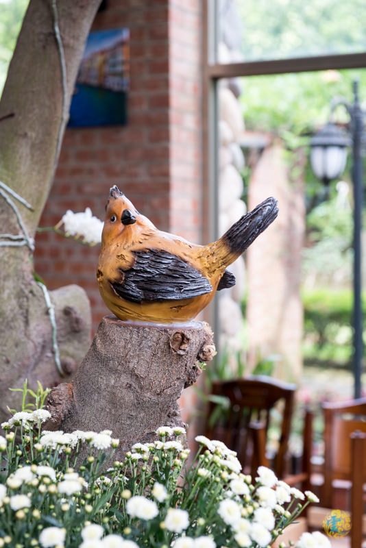 DSC_4904.jpg