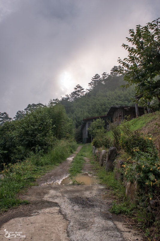 DSC_7609.jpg