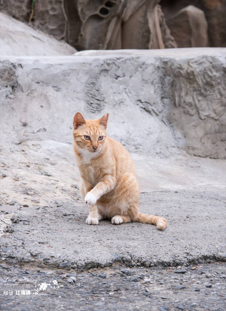 dsc_0415_1-39