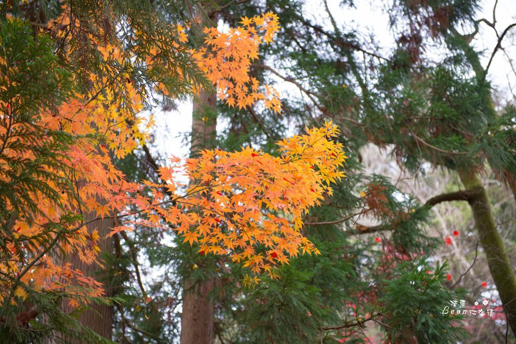 dsc_0415_1-67