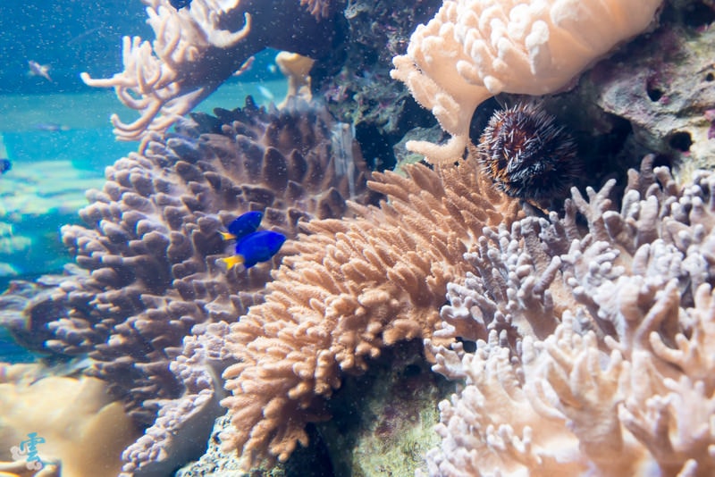 DSC_8197.jpg