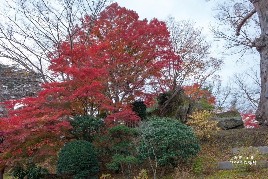 dsc_0415_1-61