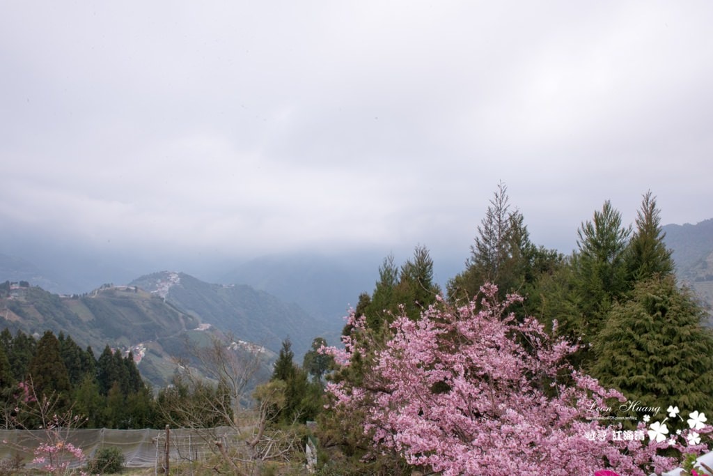 dsc_0415_1-34