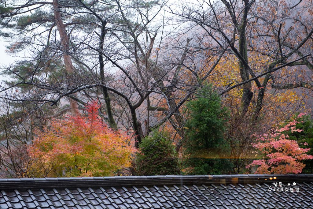 dsc_0415_1-23