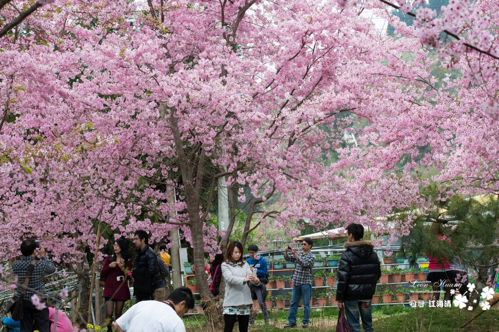 dsc_0415_1-15