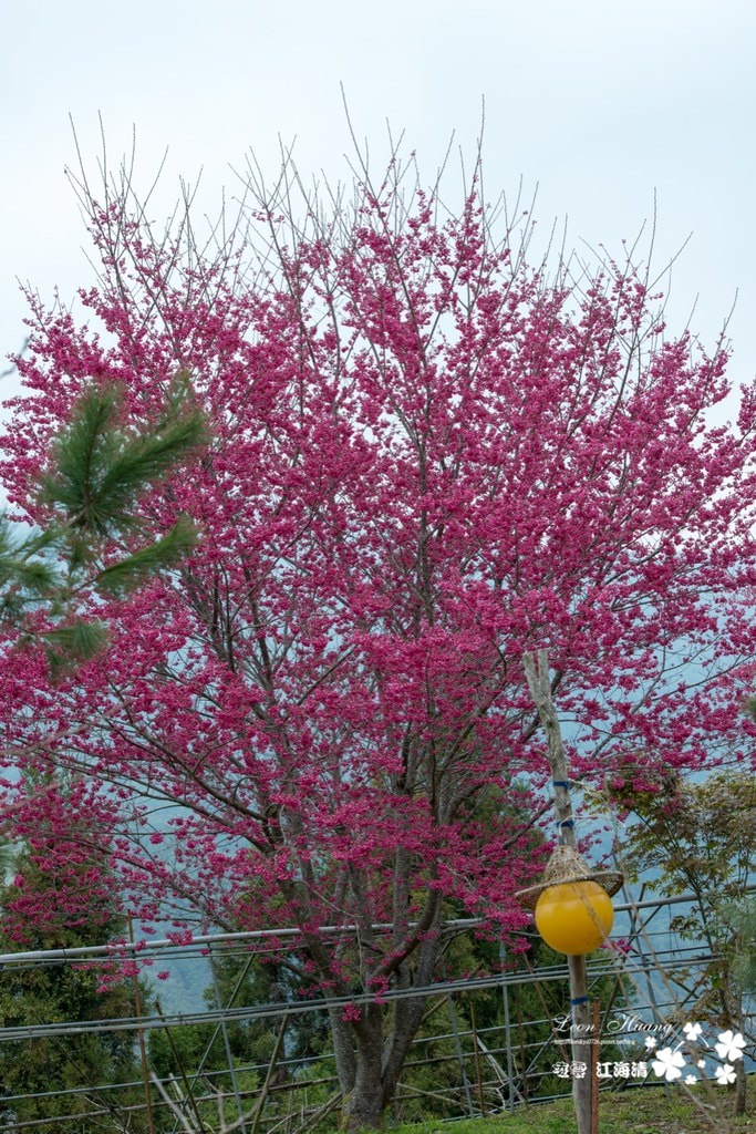 dsc_0415_1-10