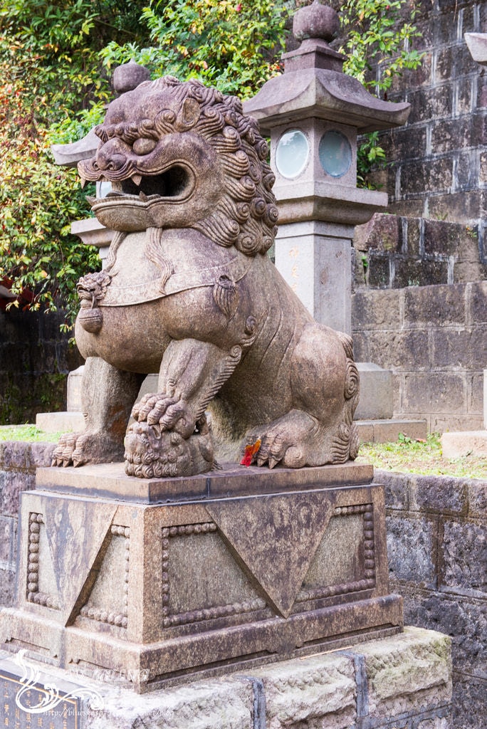 DSC_2104.jpg