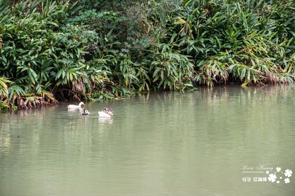 dsc_0415_1-22
