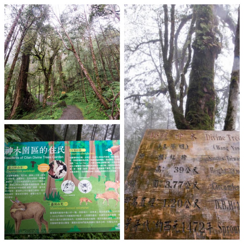 DSC_5861_Fotor_Collage.jpg