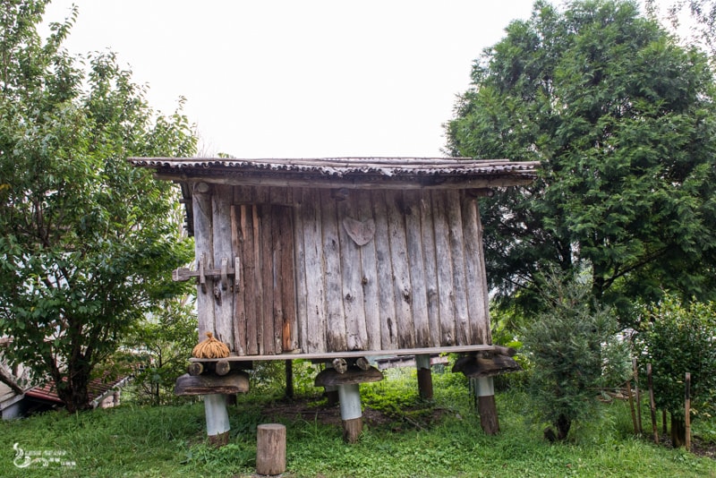 DSC_7614.jpg